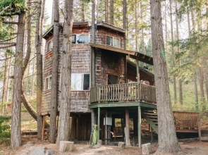Tree House Tranquil-A-Tree