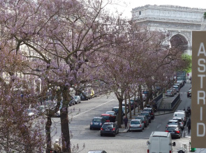 ELSA, Paris