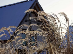 Kapitaensweg 4 Koje 03