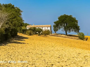 Casa Caminate - La Quercia 2