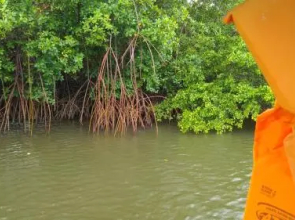 Suíte beira rio 85m praia