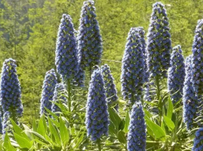 Casa de Sistelo - Turismo Rural Gerês