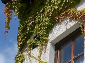 Hotel am Regenbogen