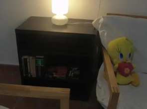 Palmar Planta Baja 50 por ciento dscto