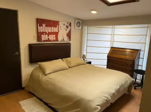 Cozy Room