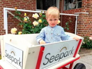 Seepark - Sonnendeck - [#23899]