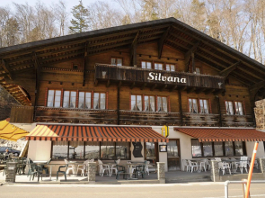 Infopoint Apartments Chalet and Motel BrunigSilvana