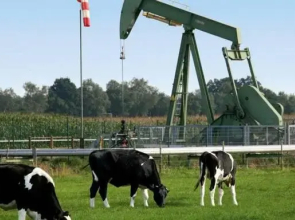 Ferienbauernhof De Slaaphoeve