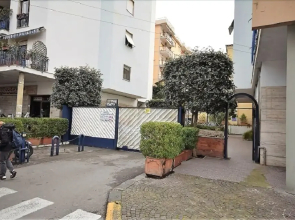 Sun Terrace