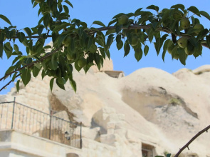 Anatolian Cave Hotel