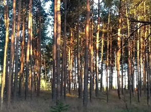 EKOLANDIA Domek na wynajem