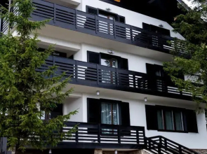 Pensiunea Vila Bujorul de Munte