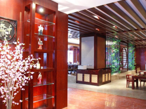 Hafree Internationall