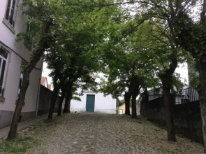 Constituição Invicta Home