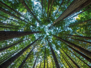 BKK Connectivity Test Hotel 16 - DO NOT BOOK