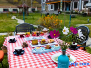Black Highland Barley Farm
