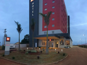 Ibis Tatuí