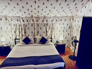 Jungle Book - A Nature Escape