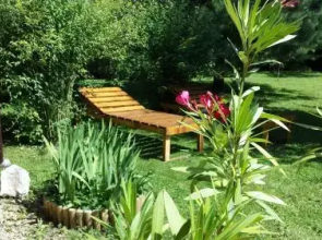 Apartments Vita Center