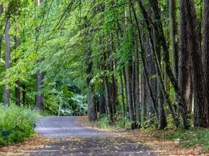 Studio Ligita near Egle