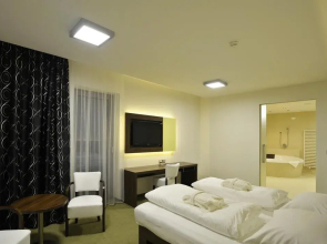 Lesni Hotel