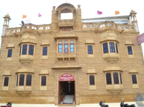 Moonlight Oasis Camp