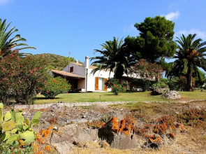 Ibiscofarm