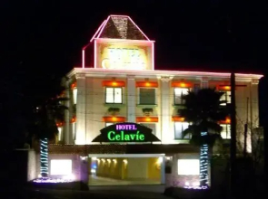 Celavie Shijonawate