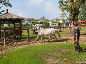 Punggol Ranch Resort
