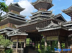 Zhaoxing Dongzhai Miwu Homestay