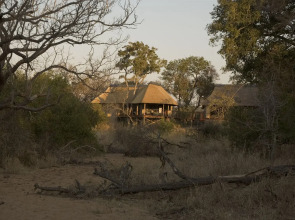 The River Lodge at Thornybush