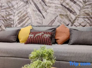 Elpis' cozy & luxury apartment