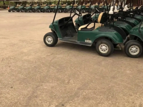 Beautiful Scenery, Towering Pines, Rolling Hills, and the Colorado River