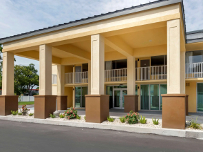 Quality Inn Saint Petersburg North-Tampa Bay