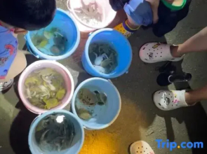 Sanya Lutu Lovers Homestay (Wuzhizhou Island Houhaicun Branch)