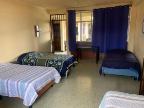 Kasa Kiwi Hostel & Travel Agency