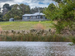 Green Olive at Red Hill