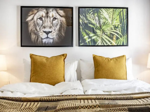 CC33 - Comfortable apart center of San Pedro