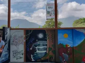 Howler Monkey Hostel DownTown