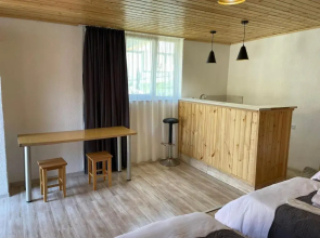 Apartament at Kazbegi