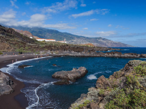 Apartamentos Los Rosales