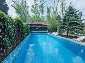 Бристоль (Адлер)