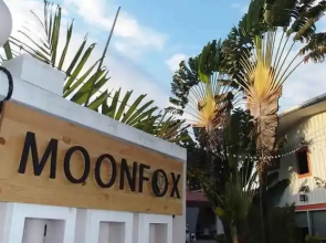 Moon Fox CaféInn Art & Gallery