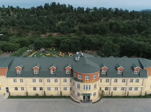 Vilesh Palace Hotel
