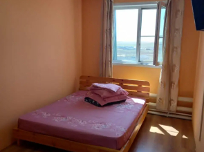 Zheleznyi mir
