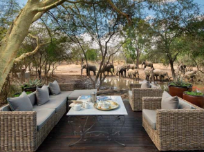 Ngala Private Game Reserve