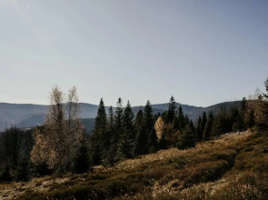 Apartament Nad Potokiem Skrzyczne Residence