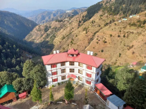 The Jungle Story - Shimla | By Headquarter
