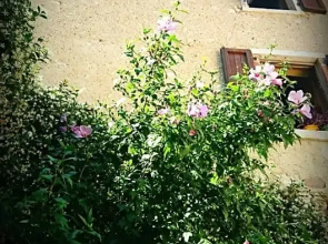 Rama Relais
