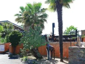 Hôtel Le Banana's -  Auberge du Corsigliese